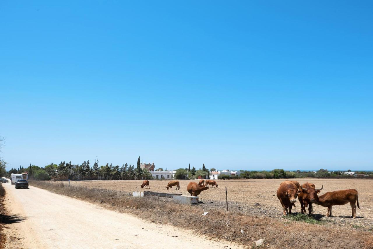 Casa Mora - Vejer, El Palmar Villa Vejer de la Frontera Ngoại thất bức ảnh
